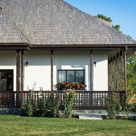 Pensiunea Tara Fagilor Suceava Buitenkant foto