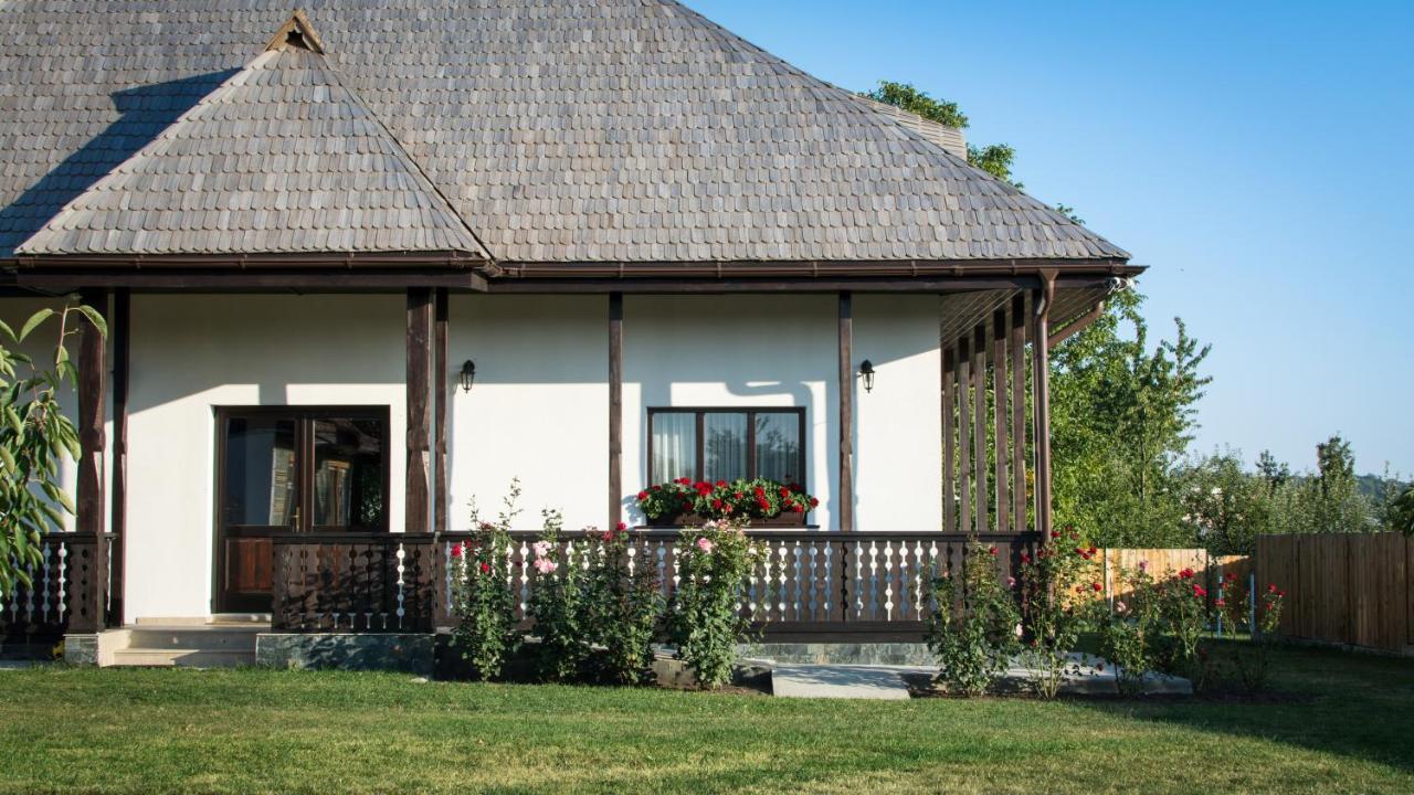 Pensiunea Tara Fagilor Suceava Buitenkant foto