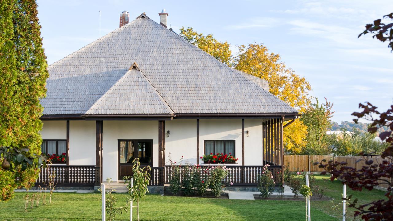 Pensiunea Tara Fagilor Suceava Buitenkant foto